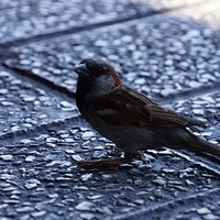 2014.06.18-042.JPG