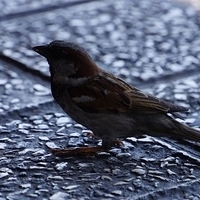 2014.06.18-043.JPG