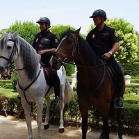 2014.06.19-134.JPG