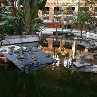 2014.06.20-077.JPG