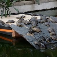 2014.06.20-078.JPG