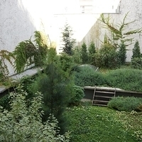 2014.06.11-053.JPG