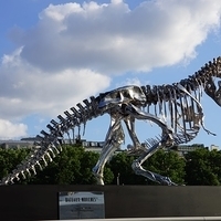 2014.06.14-225.JPG