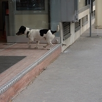 2014.06.16-159.JPG