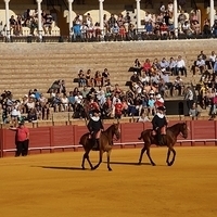 2014.06.22-033.JPG