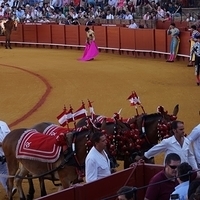2014.06.22-050.JPG