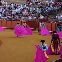 2014.06.22-052.JPG