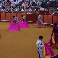 2014.06.22-053.JPG