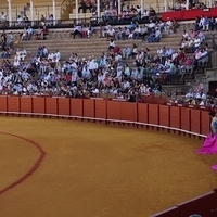 2014.06.22-059.JPG