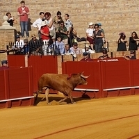 2014.06.22-062.JPG
