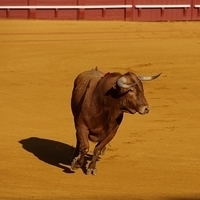 2014.06.22-066.JPG