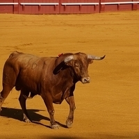 2014.06.22-067.JPG
