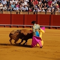 2014.06.22-075.JPG