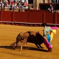 2014.06.22-077.JPG