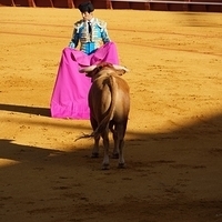 2014.06.22-082.JPG