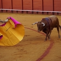 2014.06.22-090.JPG
