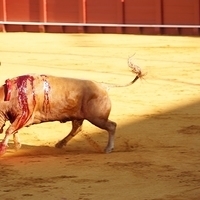 2014.06.22-091.JPG