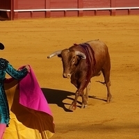 2014.06.22-096.JPG