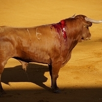 2014.06.22-098.JPG
