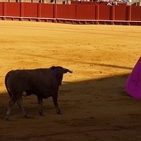 2014.06.22-101.JPG