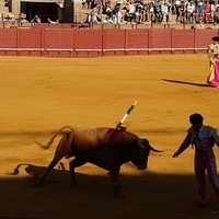 2014.06.22-103.JPG