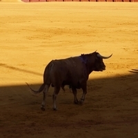 2014.06.22-104.JPG