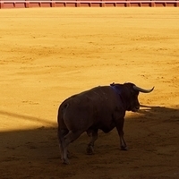 2014.06.22-105.JPG