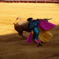 2014.06.22-106.JPG