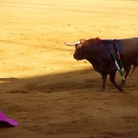 2014.06.22-107.JPG