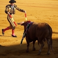 2014.06.22-109.JPG