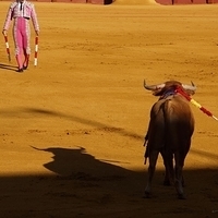 2014.06.22-112.JPG