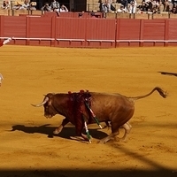 2014.06.22-114.JPG