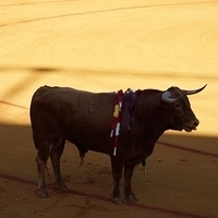 2014.06.22-115.JPG