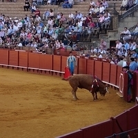 2014.06.22-117.JPG