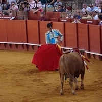 2014.06.22-120.JPG