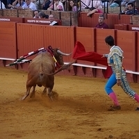 2014.06.22-122.JPG