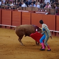 2014.06.22-126.JPG