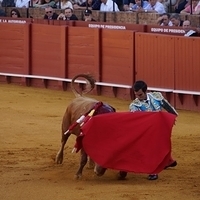 2014.06.22-127.JPG