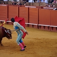 2014.06.22-130.JPG