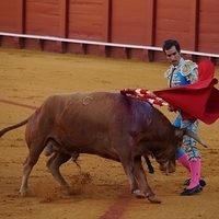 2014.06.22-132.JPG