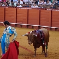 2014.06.22-135.JPG