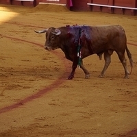 2014.06.22-136.JPG