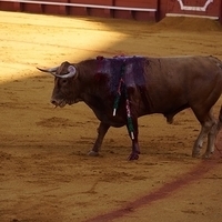 2014.06.22-137.JPG