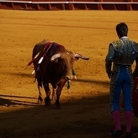 2014.06.22-139.JPG