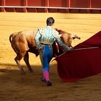 2014.06.22-143.JPG