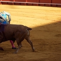 2014.06.22-146.JPG