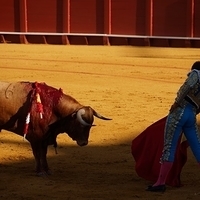2014.06.22-147.JPG