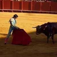 2014.06.22-149.JPG