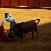 2014.06.22-150.JPG