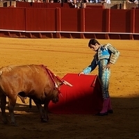 2014.06.22-153.JPG